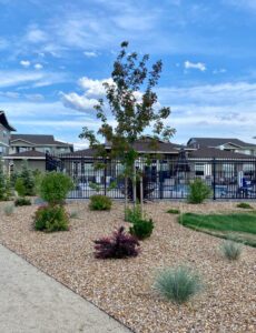 Redpoint Apartments Redmond Oregon Landscaping