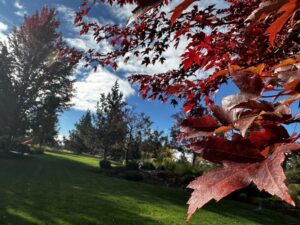 fall landscaping bend Oregon