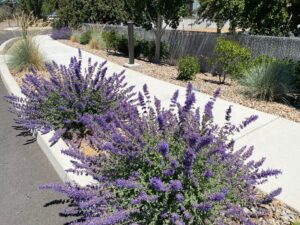 landscaping services redmond oregon